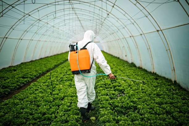 Best Affordable Pest Control Services  in Fort Riley, KS