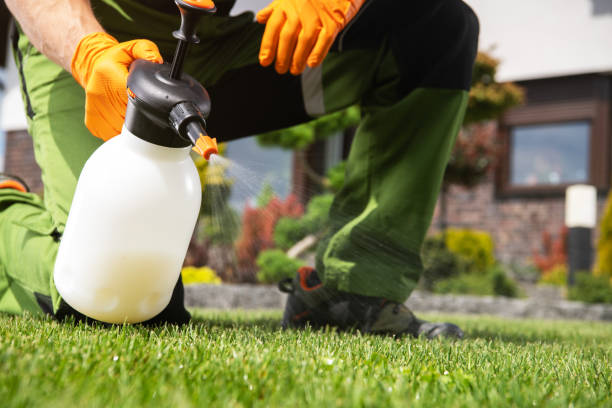 Best Pest Control Near Me  in Fort Riley, KS