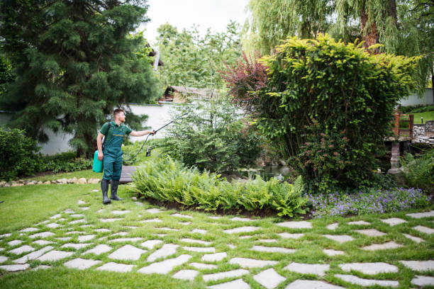 Best Local Pest Control Services  in Fort Riley, KS