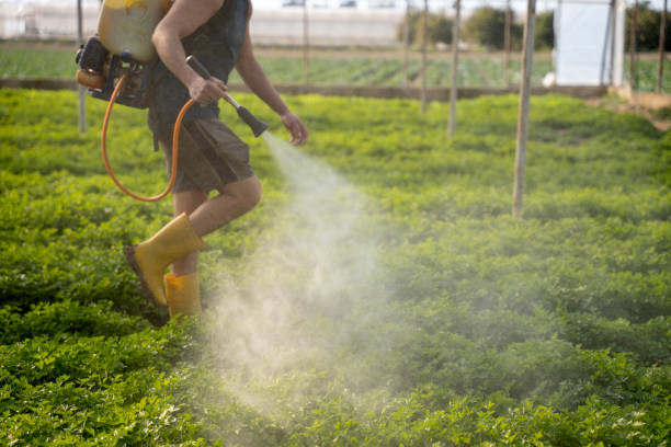 Best Mosquito Control Services  in Fort Riley, KS
