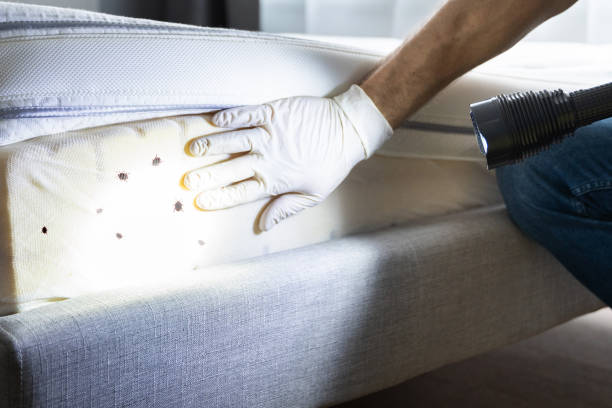 Best Commercial Pest Control Services  in Fort Riley, KS