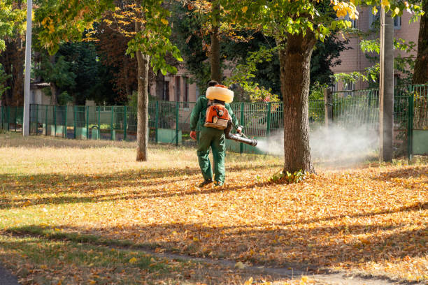 Best Bed Bug Extermination  in Fort Riley, KS
