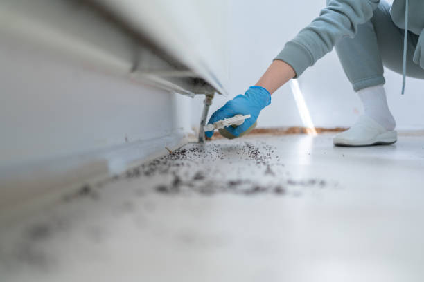 Best Residential Pest Control  in Fort Riley, KS