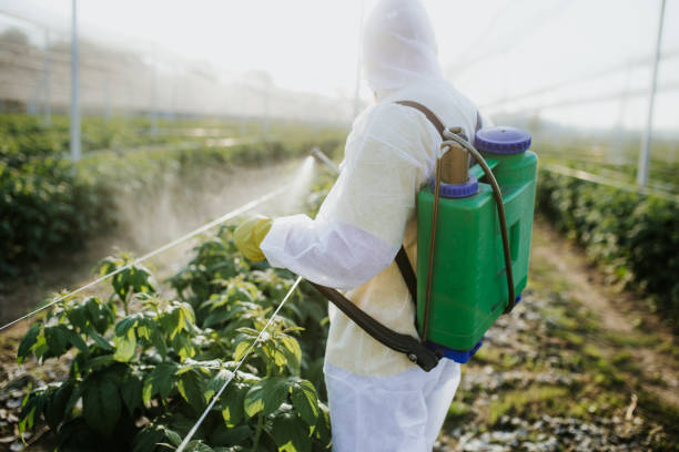 Best Commercial Pest Control Services  in Fort Riley, KS